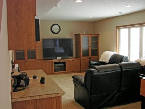 Basement Family Room