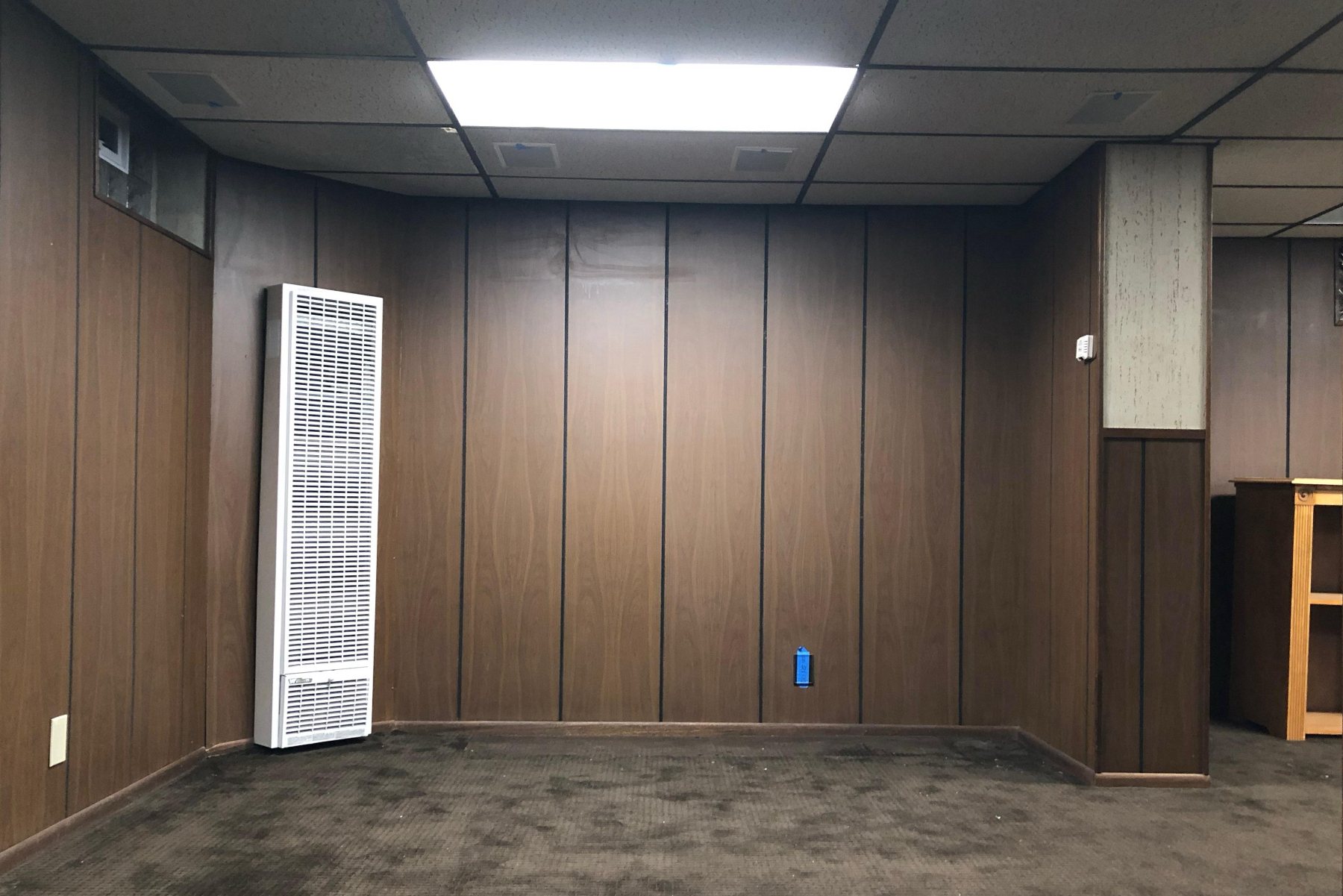 Lower level remodel - before